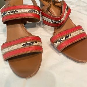 Coach - Size 11B